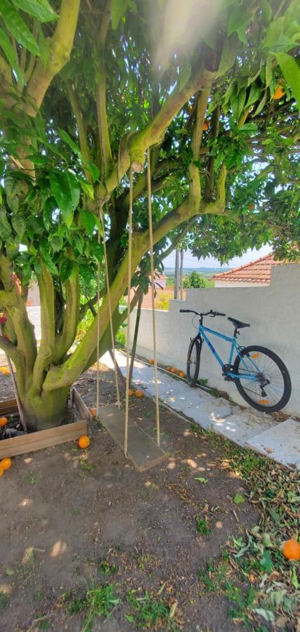 Casa Da Laranjeira Vale Covo (Leiria) Exterior foto