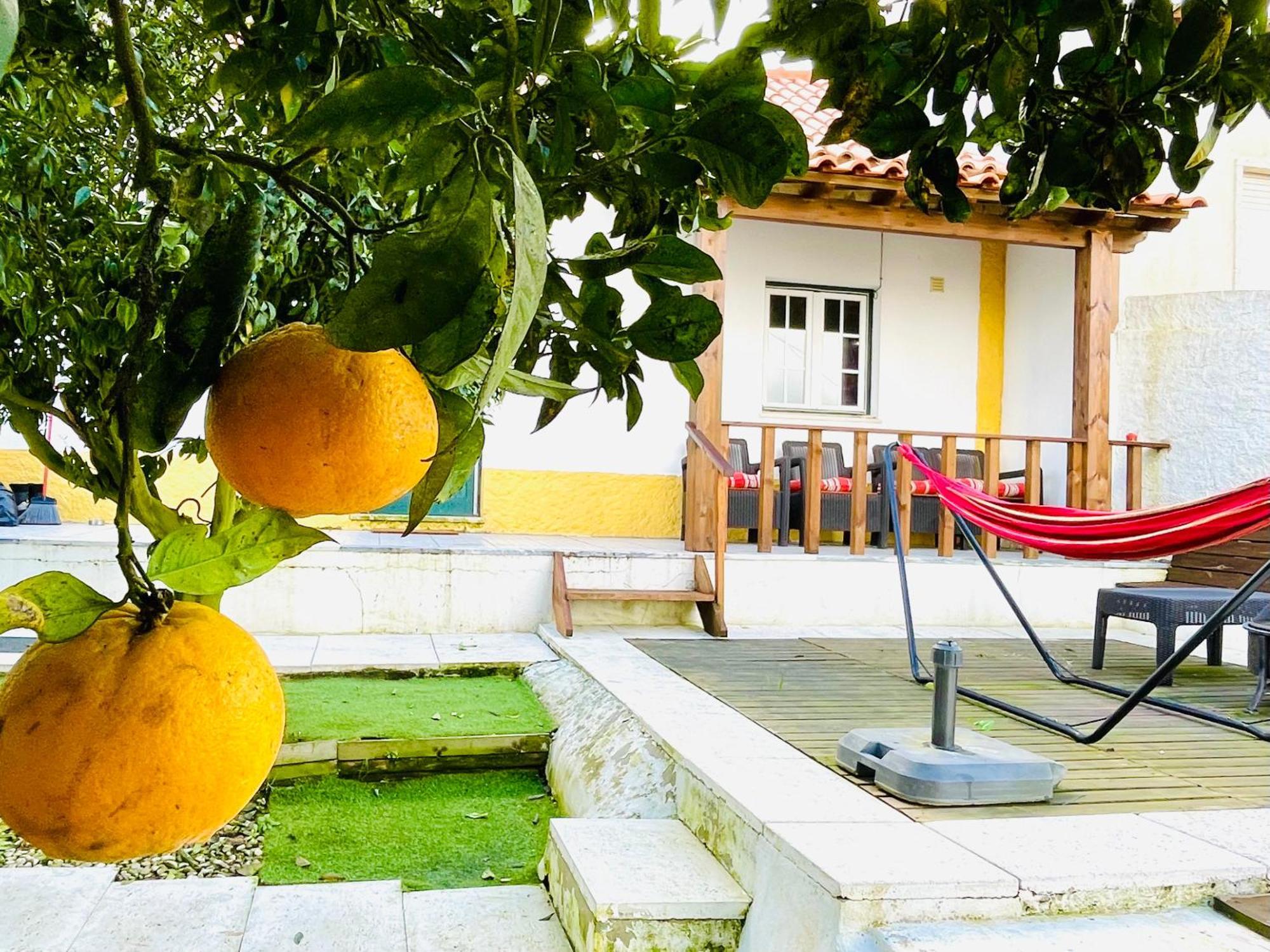 Casa Da Laranjeira Vale Covo (Leiria) Exterior foto